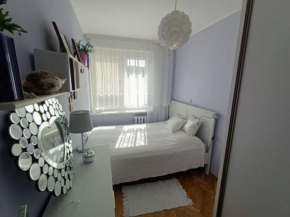 Apartament pod lasem